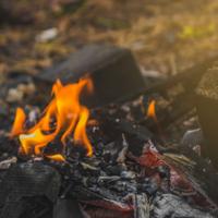 Sunset bonfire in the forest