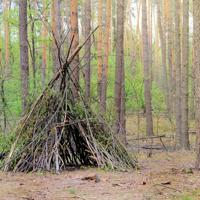 primitive survival shelter