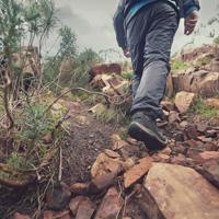 Hiking Wilderness Survival